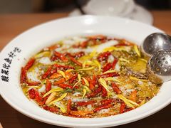 -新太二·鲜料川菜(群光广场店)