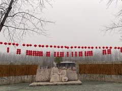 -合肥滨湖国家森林公园