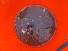 -红树林天天赶海