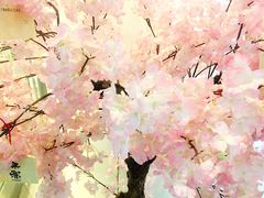 -無邪日式甜品(世博源店)