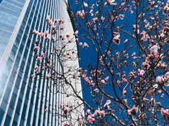 -西门子中国有限公司(阜通东大街店)