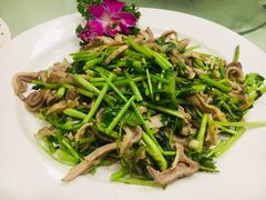 芫爆肚丝-燕风楼烤鸭店(建设总店)
