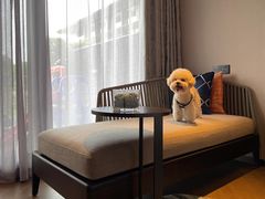 -苏州阳澄半岛英迪格酒店