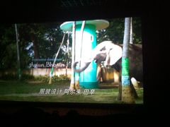 放映厅-金逸影城(哥伦布店)