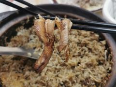 -台山第一家兴华黄鳝饭·黄鳝婆(开平店)