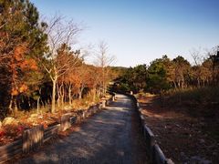 -南京市无想山景区