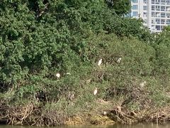 -艾溪湖湿地公园