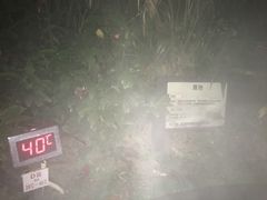 -林丰温泉度假山庄