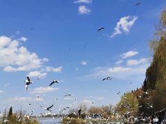 -海埂大坝