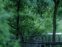 -西湖风景区-江洋畈生态公园