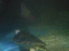 -多彩贵州城极地海洋世界