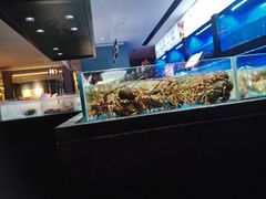 -徐记海鲜(大雁塔|金都店)