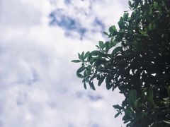 -塘栖枇杷特色园区