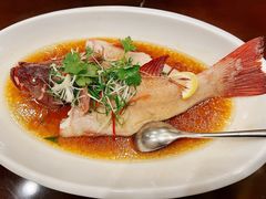 东星斑-庄隐阁(悠方广场店)