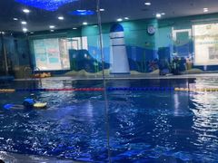 -小泳士游泳训练基地(芥园西道店)