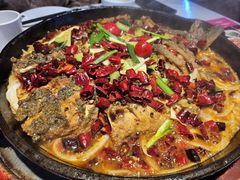 -老板恋上鱼(高新万达店)
