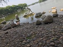 -石家庄市植物园