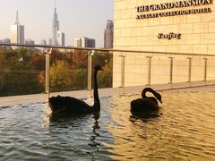 -行者书屋大堂吧 ·下午茶(南京圣和府邸酒店)