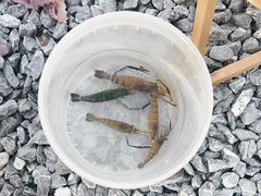 -DGE季风钓虾营地·团建·聚会