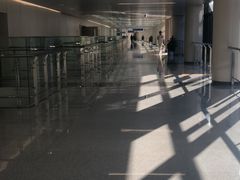 -首都医科大学附属北京天坛医院
