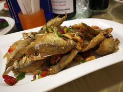 -旭宝高尔夫俱乐部