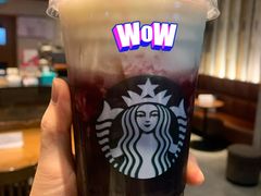 -星巴克(北京三里屯SOHO一店)