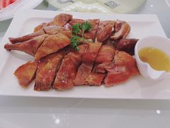 -骏莱海鲜鱼港(五角场店)