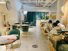 -喵喵咪呀布偶猫咖(春熙路店)