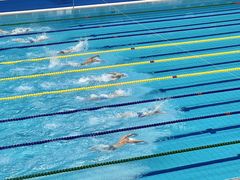 -杭州奥体中心-体育场