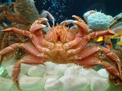 -璞御·海鲜·雪花牛肉局(宾水西道店)