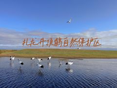 -黑龙江扎龙生态旅游区