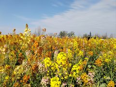 -中国天府农业博览园