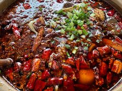 -青城甲(青城山店)