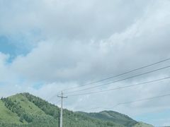 -洮儿河国家湿地公园