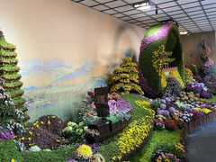 -杭州植物园