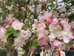 -元大都城垣遗址公园