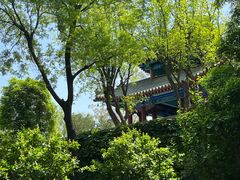-济南大明湖景区