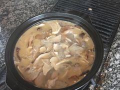 -蘑统田下·野生菌火锅