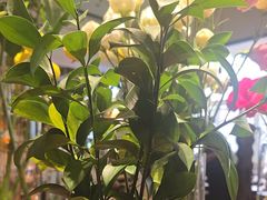 -懒人盐府人家·自贡大麻鱼(安贞店)