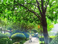 -西安城墙·碑林历史文化景区