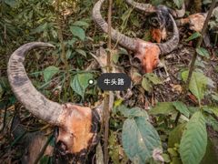 -西双版纳基诺山寨