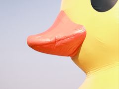 -深圳人才公园