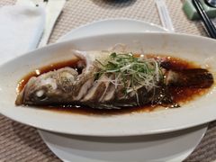 -十八棵（老龙井）御茶园(老龙井店)