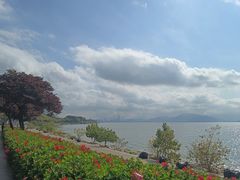 -深圳湾公园(南山区)