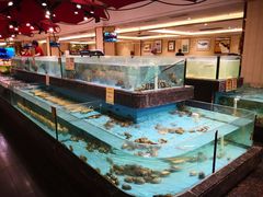 水产区-西贝海鲜汇(槐安路店)