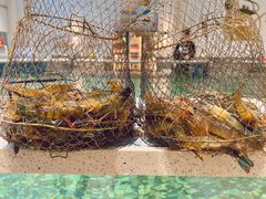 -嘻虾·钓虾工场(东莞总店)