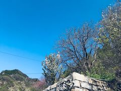 -北京山里寒舍度假酒店