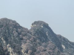 -少华山国家森林公园