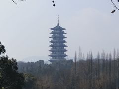 -宜兴龙背山森林公园
