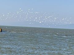 -呈贡滇池生态湿地公园